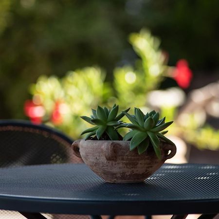 Agriturismo Il Colle Siena Dış mekan fotoğraf