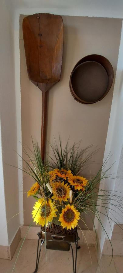 Agriturismo Il Colle Siena Dış mekan fotoğraf