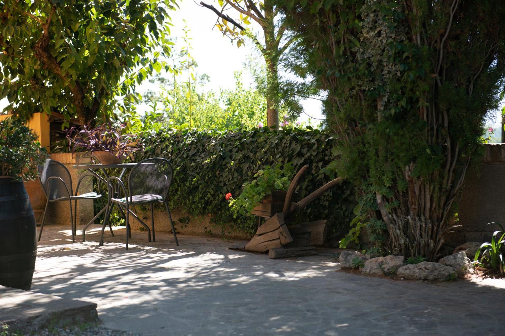 Agriturismo Il Colle Siena Dış mekan fotoğraf