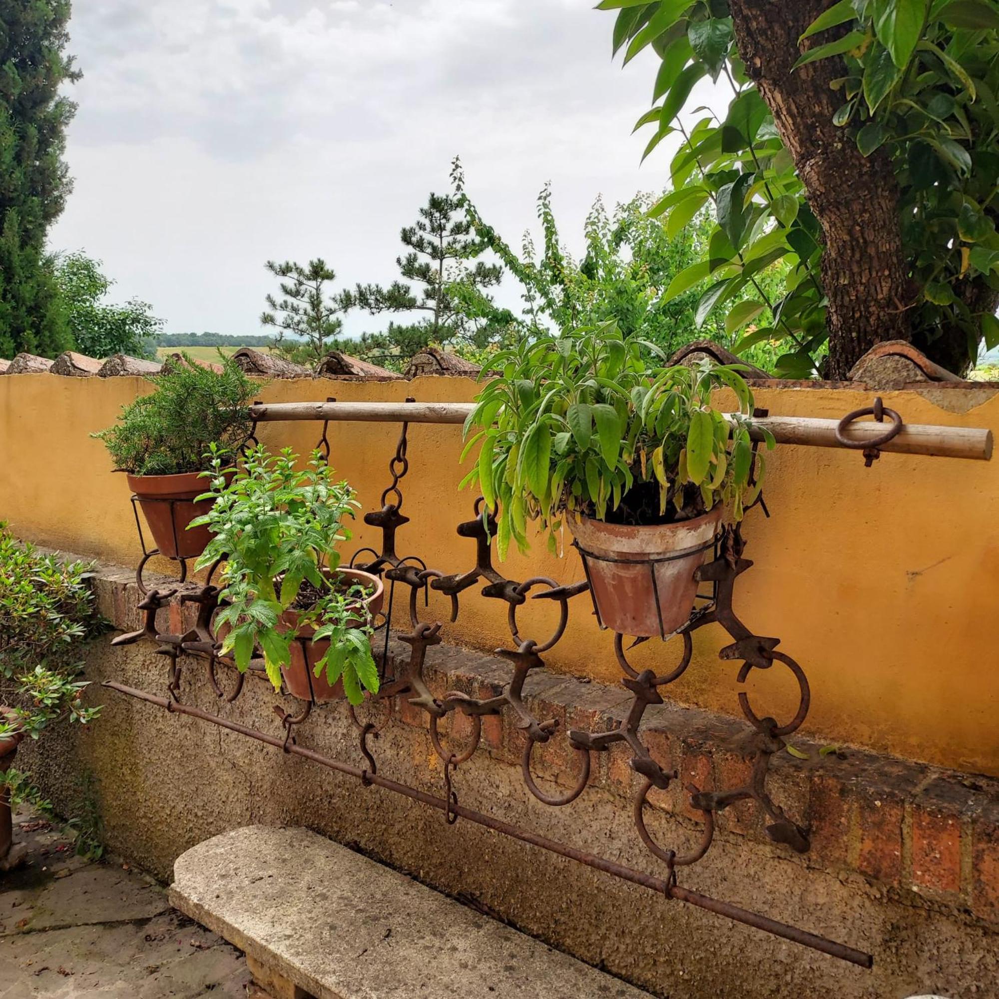 Agriturismo Il Colle Siena Dış mekan fotoğraf