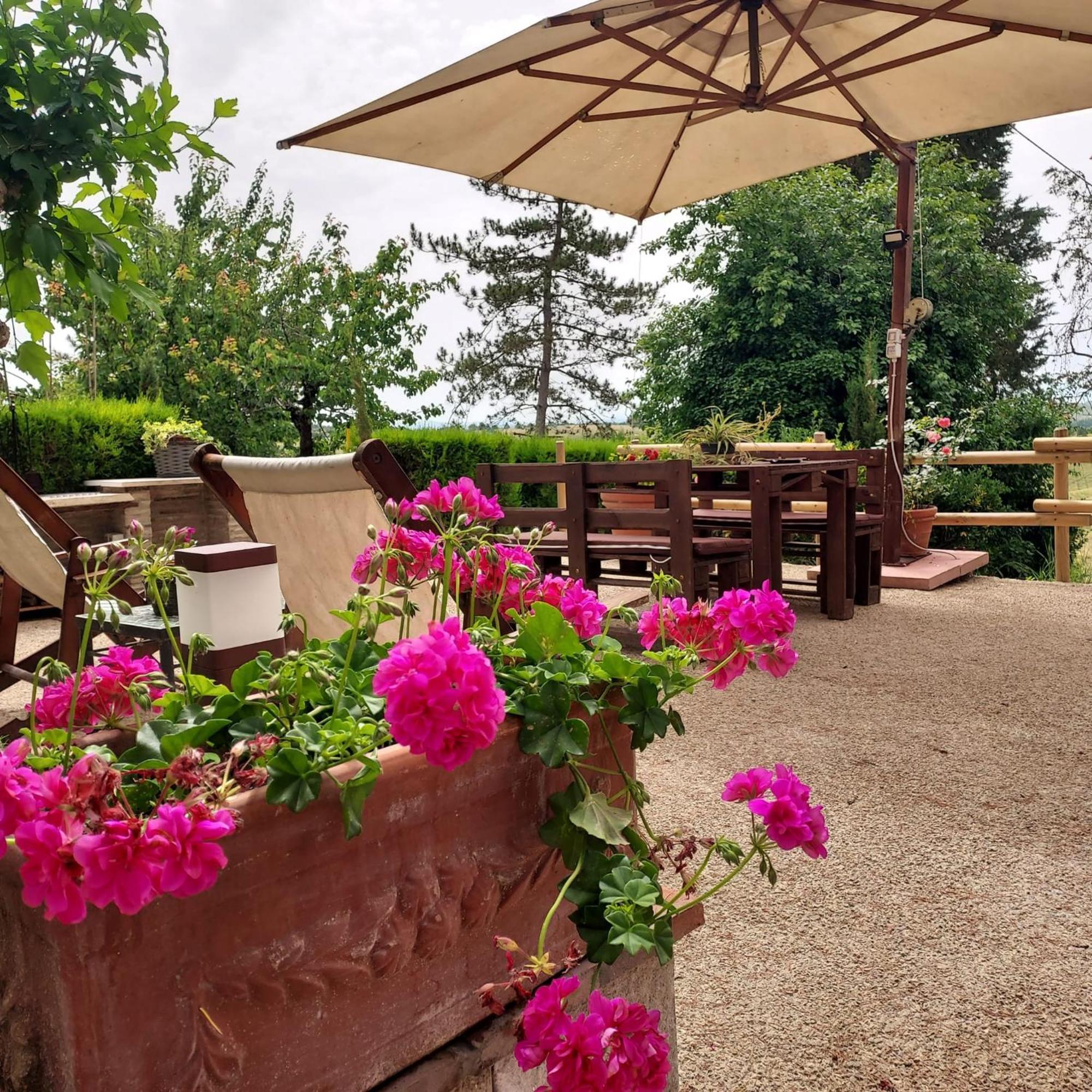 Agriturismo Il Colle Siena Dış mekan fotoğraf