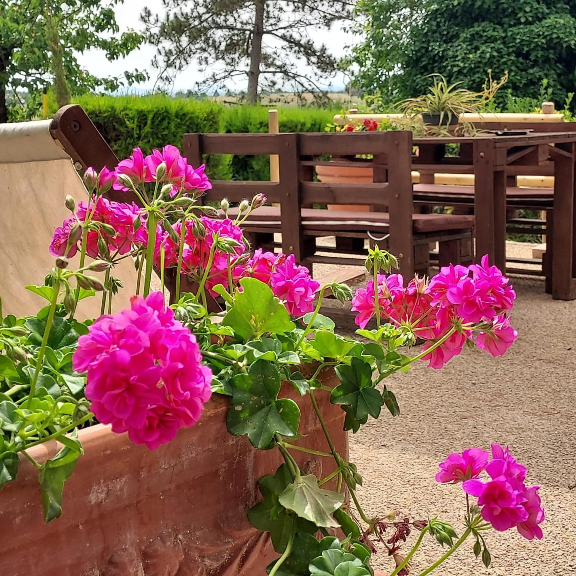 Agriturismo Il Colle Siena Dış mekan fotoğraf