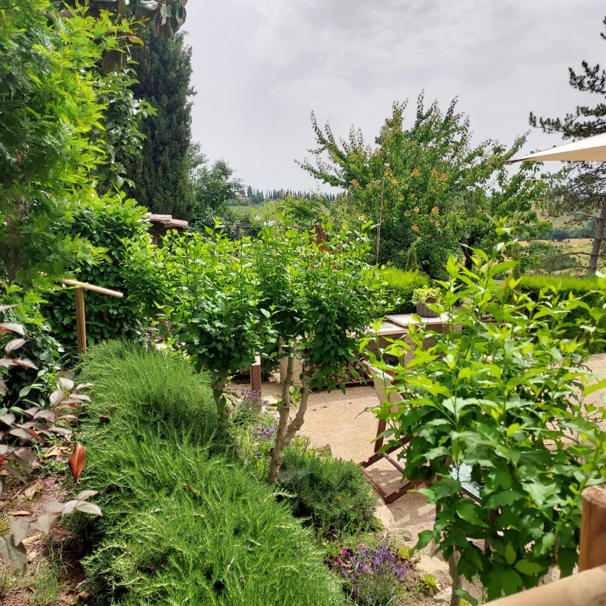 Agriturismo Il Colle Siena Dış mekan fotoğraf