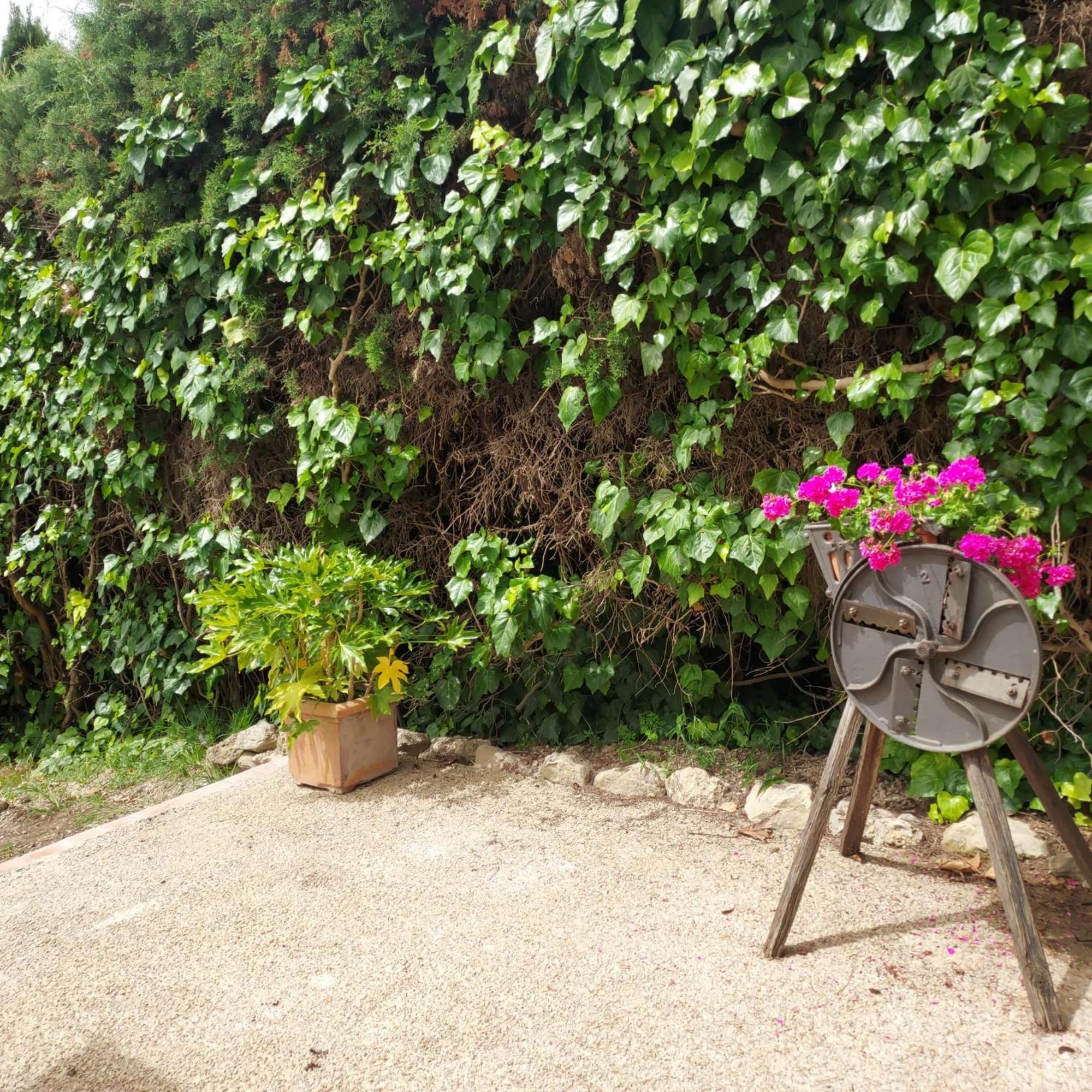 Agriturismo Il Colle Siena Dış mekan fotoğraf