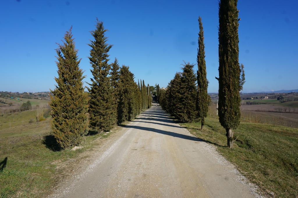 Agriturismo Il Colle Siena Dış mekan fotoğraf