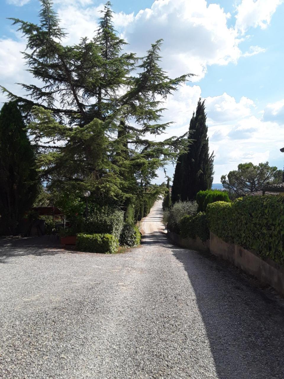 Agriturismo Il Colle Siena Dış mekan fotoğraf